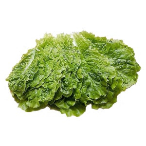 야채이야기 싱싱한 청상추 4kg (3.8kg-4kg) 상추 쌈채소