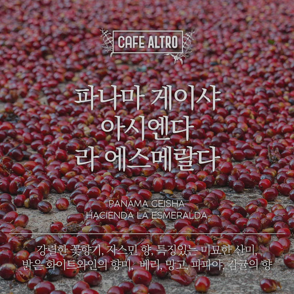 파나마 게이샤 아시엔다 라 에스메랄다 카페알트로 원두커피 모카포트(보통), 200g, 1개
