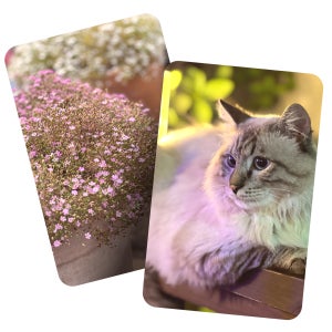 종이 포토카드 100장 / 홀로그램 엠보 밸벳 코팅 / 300g 두꺼운용지 / 모서리라운드