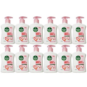 데톨 항균 핸드워시 스킨케어 250mlX12개(1box)