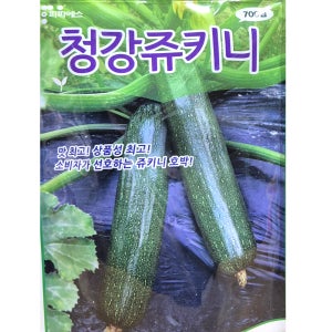 쥬키니씨앗 700립 청강주키니 호박 종자 대포장
