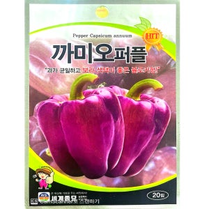 보라파프리카씨앗 까미오퍼플 20립 파프리카종자 씨