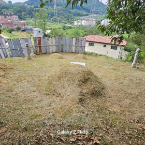 공용화단관리 예초업체 풀깎기 마당잔디 마당관리 정원관리대행 주택마당 전원주택마당