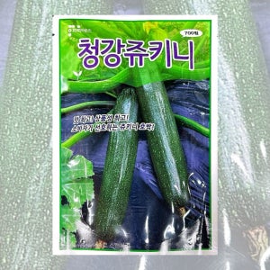 청강쥬키니씨앗 700립 26년포장 상품성좋은 주키니종자