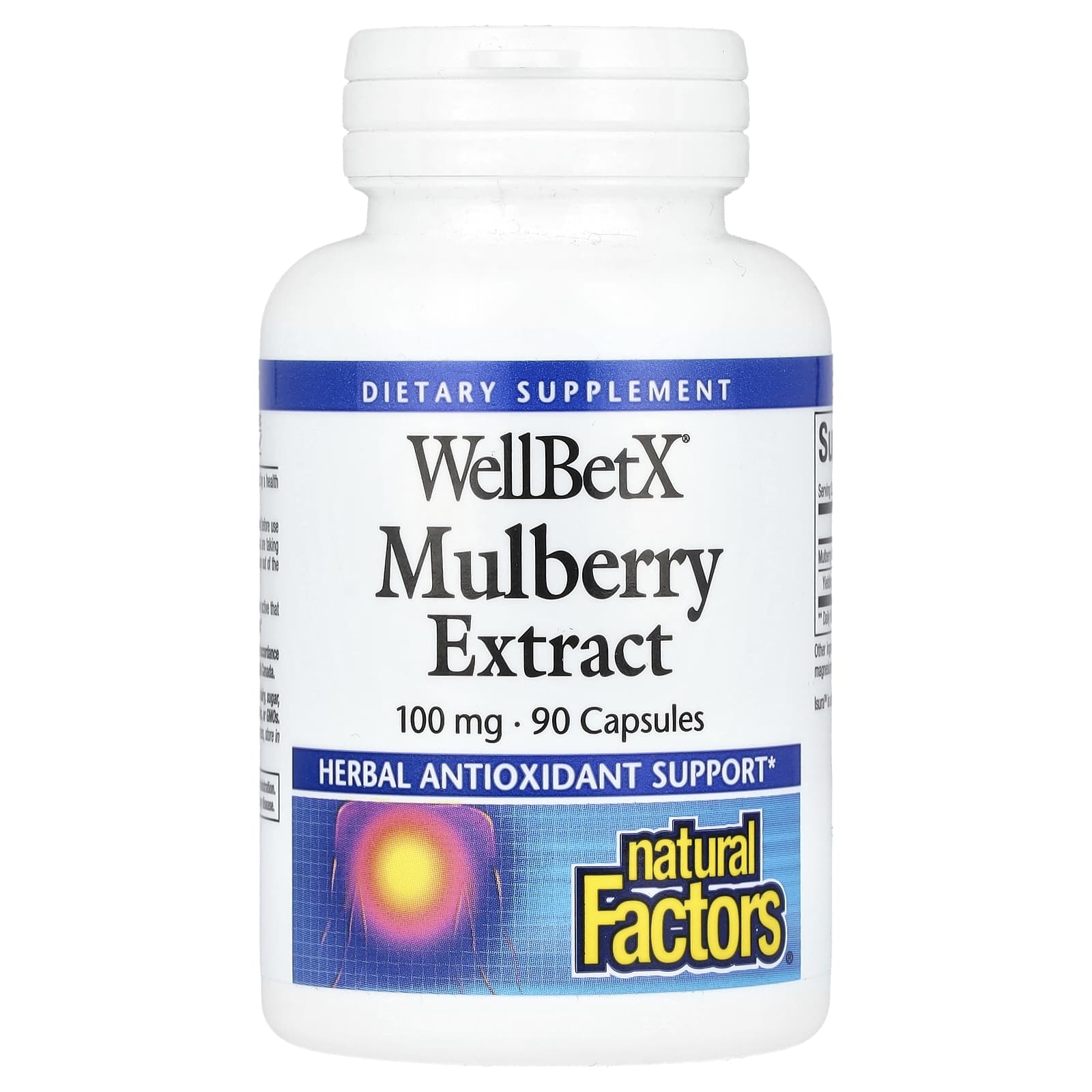Natural Factors <b>WellBetX 멀베리</b> 추출물 <b>100mg</b> 캡슐 90정