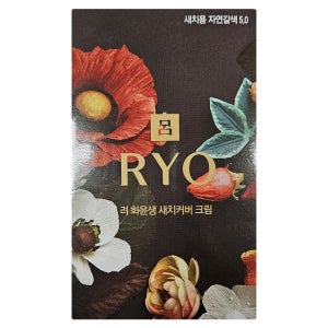 려 화윤생 새치커버크림 5.0 자연 갈색 120g/N