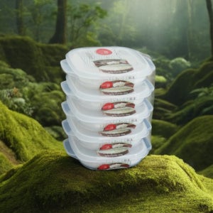 햇반 용기 전자레인지용 햇밥 소분통 보관, 5p