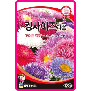과꽃씨앗 100립 / 킹사이즈과꽃 꽃씨 다년초 종자 꽃밭 화단 조경 야생화 키우기