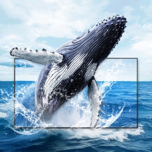 삼성 LED FHD LH32QMCEBGCXKR 사이니지 DID 광고 모니터 TV