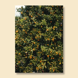 감성 풍경 인테리어 포스터(A4, A3, A2, 50x70)