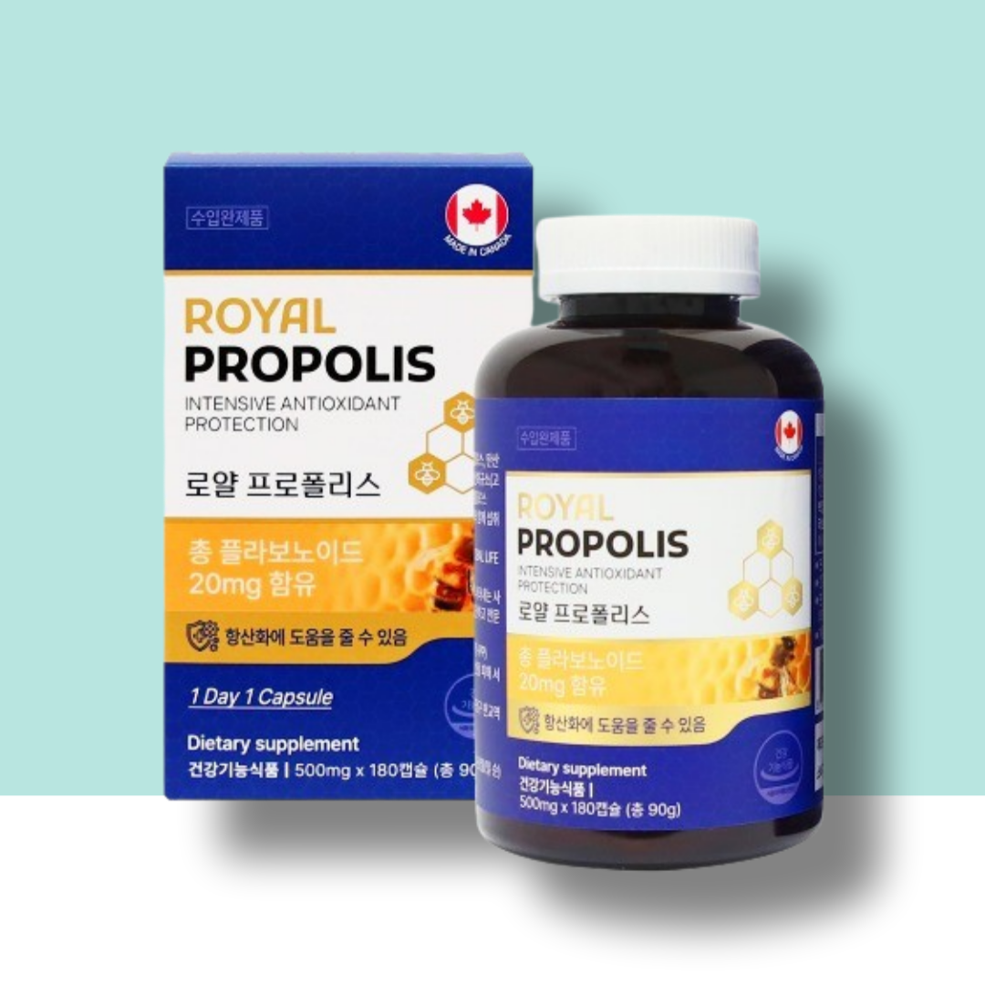 프로폴리스 면연력에좋은영양제 염증영양제 <b>구내염</b>영양제