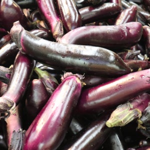 국내산 밀양 가지 특품 상품 꼬마 못난이 2kg 5kg