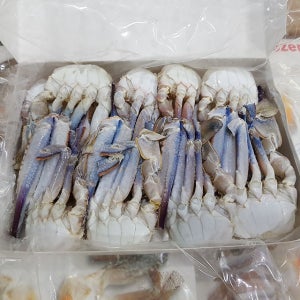 냉동꽃게 바레인 튀니지 손질 절단 꽃게 L 500g 12팩 업소용