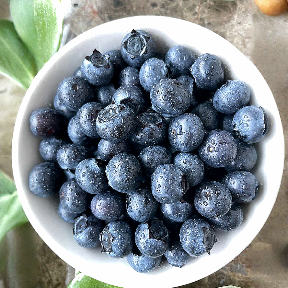 친환경 무농약 블루베리 국산 냉동블루베리 불루베리 생블루베리 1kg
