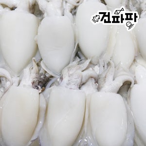 깨끗하게 손질된 냉동 갑오징어 특대 1kg (약 2미-3미)