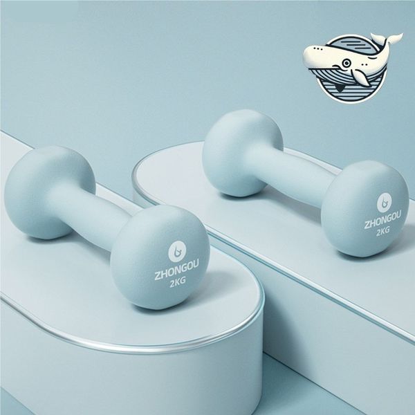 [알티피아] 2kg 아령 덤벨 홈트레이닝 필수 아이템(WFGVZ1O)