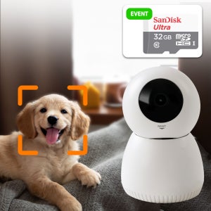 도기캠 AI 펫캠 홈캠 강아지 고양이 실시간 인공지능 반려동물 CCTV QHD