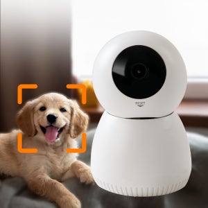 도기캠 AI 펫캠 홈캠 강아지 고양이 실시간 인공지능 반려동물 CCTV QHD