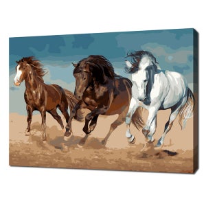 광고 메인 이미지