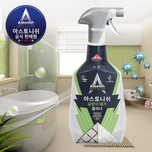 아스토니쉬 곰팡이 제거제 원인균 제거 클리너 스페셜리스트