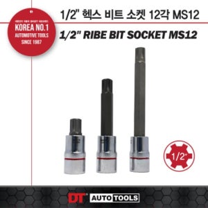 1/2 헥스 비트 소켓 12각 MS12 [DT]