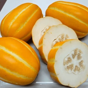 성주참외 꿀참외 당도보장 가정용 선물용 프리미엄 제철과일 2/3/5kg 과일선물 세트