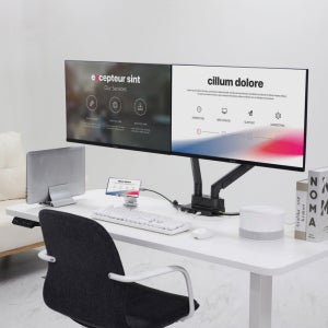 카멜마운트 DMA2DDS 듀얼 USB 포트 도킹 모니터 거치대 모니터암 데스크테리어