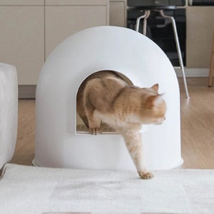 페페 피단 사막화/냄새 방지 고양이 이글루 화장실
