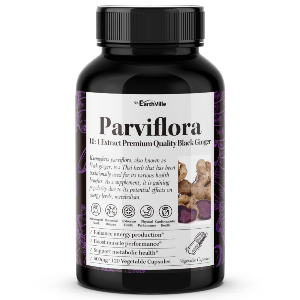 어스빌 흑생강 끄라차이담 파비플로라 블랙<b>진저 500mg</b> 효능 120베지캡슐