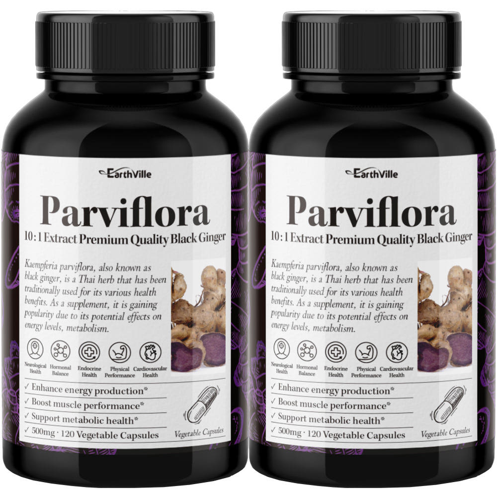 2통 어스빌 흑생강 끄라차이담 파비플로라 블랙<b>진저 500mg</b> 효능 240베지캡슐