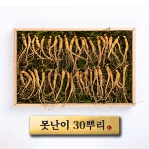 못난이 30뿌리