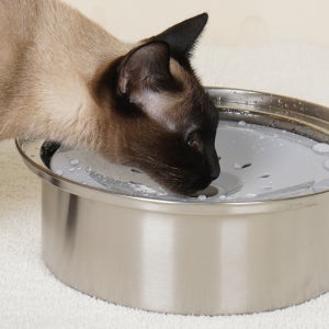 마더스 고양이 강아지 물그릇 밥그릇 스텐인리스 활성탄 필터