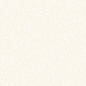 신한벽지 파사드 실크벽지 2020-3 라이트 베이지 1롤(5평) 마티스 회벽 페인트