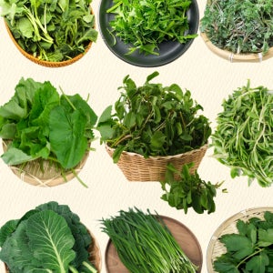 봄나물 모음전 비름나물 부지깽이 쑥 세발나물 유채 방풍 달래