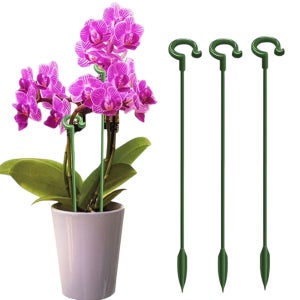 원예 화분 화초 오링 식물 꽃 지지대 - 17cm