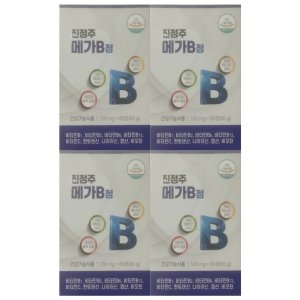 4박스 진정주 메가B 정