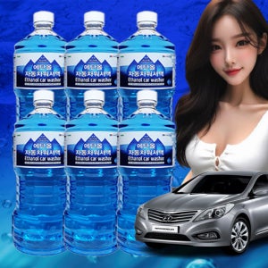 그랜저HG 자동차 워셔액 에탄올 대용량 1.8L x 6개