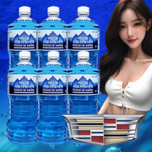 캐딜락 자동차 워셔액 에탄올 대용량 1.8L x 6개