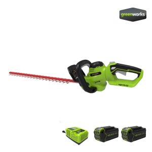 그린웍스 40V 충전 전정기 양날 배터리2개 충전기1개 세트