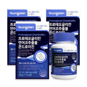 영진약품 프로테오글리칸 연어코연골 콘드로이친 60정, 3개