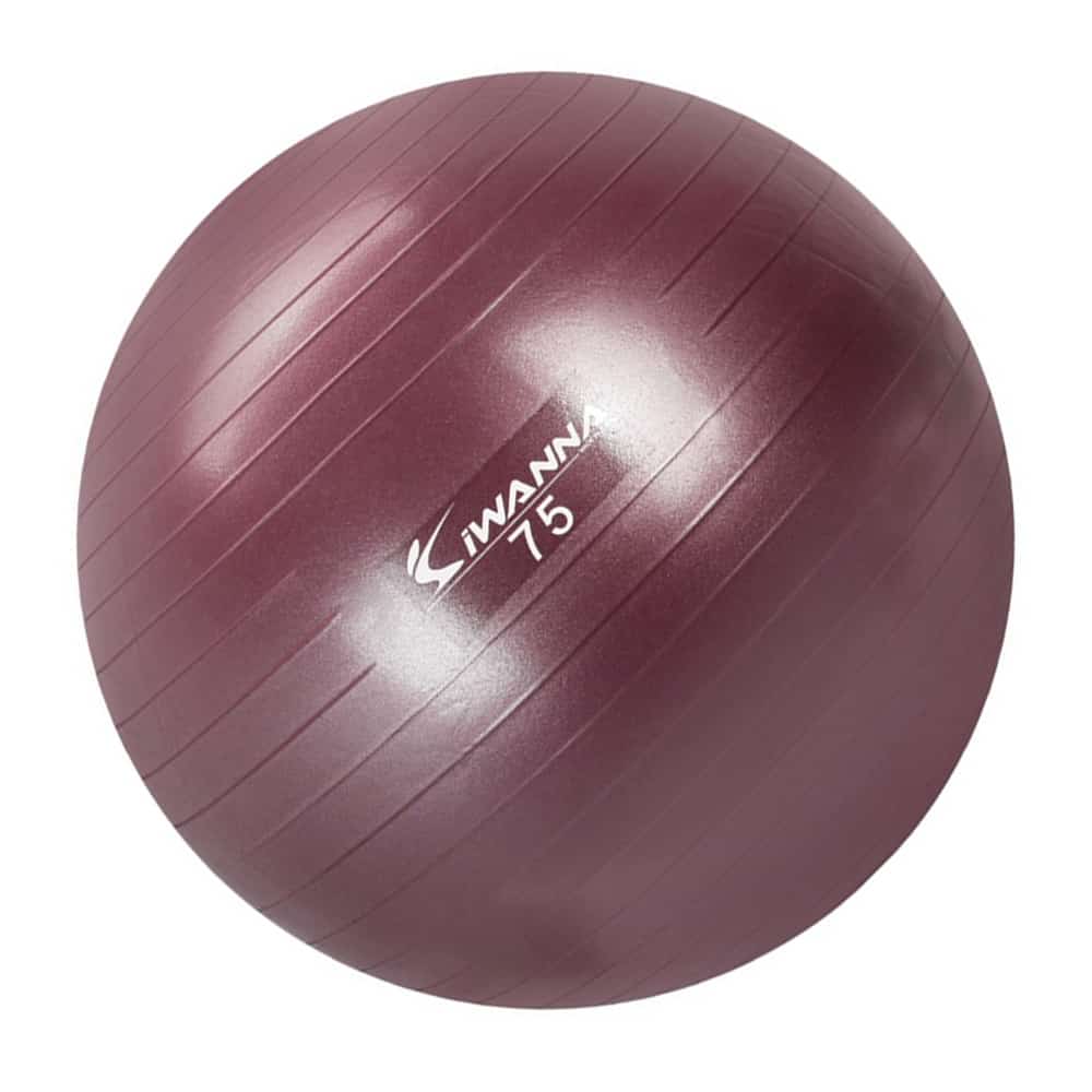 홈트 짐볼 75cm 루비와인 <b>근육</b>이완 코어 탄성 <b>헬스 밸런스</b>