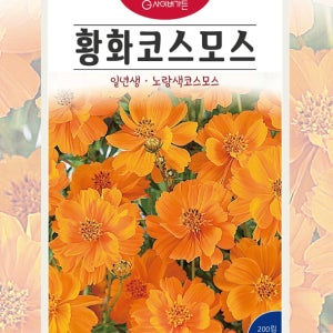 황화코스모스 1kg 약70,000립 봄파종 월동꽃씨 법면용 녹화용 반려식물