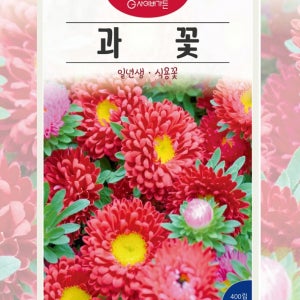 과꽃 혼합 1kg 월동꽃씨 법면용 여름파종 일년생 텃밭가꾸기