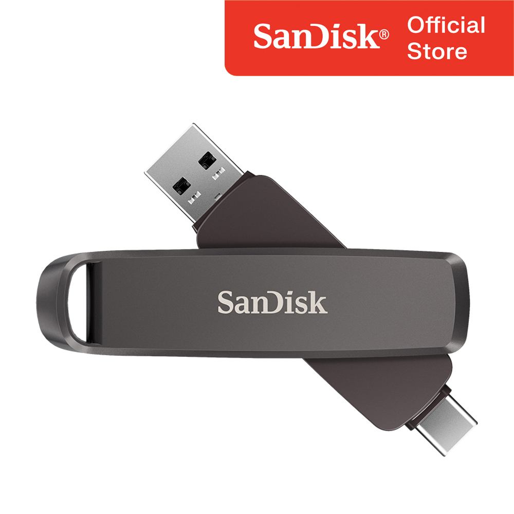 샌디스크 외장SSD Extreme Pro Dual USB 무료 각인 1TB, 메탈그레이