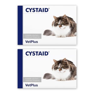 (사은품랜덤증정) 벳플러스 시스테이드 플러스 캣 비뇨기 방광보조제 30캡슐, 2개