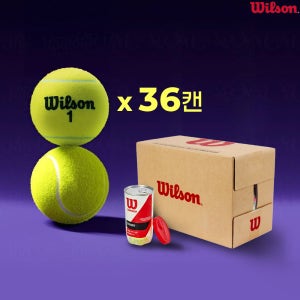 윌슨 챔피언쉽 시합구 1박스 36캔 테니스공