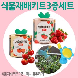 DURU,,_ 식목일 식물 과일 야채 딸기 토마토 키트 미니 페트병 물조리개 식물 키우기 세트 베란다텃밭 반려식물 홈파밍