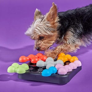 브라이트킨즈 강아지 지능 발달 노즈워크 카누들 댕블럭 두뇌 퍼즐 급식 식습관 개선 장난감 (S)