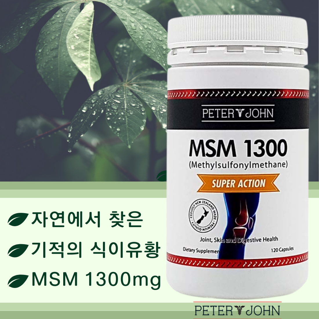 뉴질랜드 피터앤존 식이유황 MSM 1300 고함량 식용유황 120정/1-2개월분