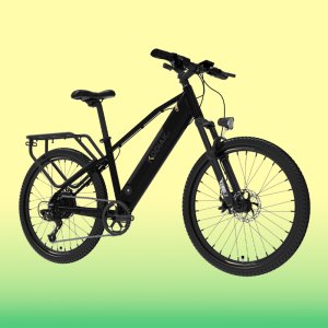 알톤스포츠 코디악 29 전기자전거 500W 48V 15Ah 고출력 2024